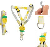 Harnais & Laisse Ananas Réglables pour Chien et Chat