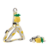 Harnais & Laisse Ananas Réglables pour Chien et Chat