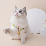 Harnais & Laisse Ananas Réglables pour Chien et Chat