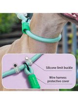 Laisse Coulissante pour Chien – Mains Libres avec Poignée Confort