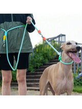 Laisse Coulissante pour Chien – Mains Libres avec Poignée Confort