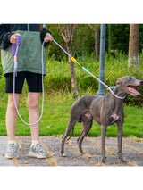 Laisse Coulissante pour Chien – Mains Libres avec Poignée Confort